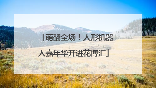 萌翻全场！人形机器人嘉年华开进花博汇